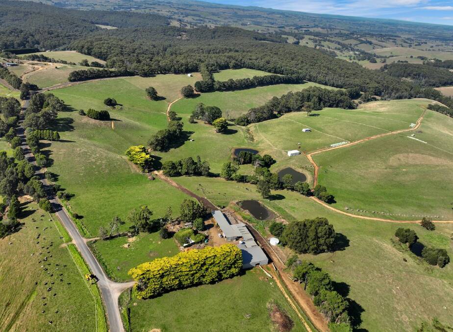 Productive dairy farm in South Gippsland priced at $12,000/ac
