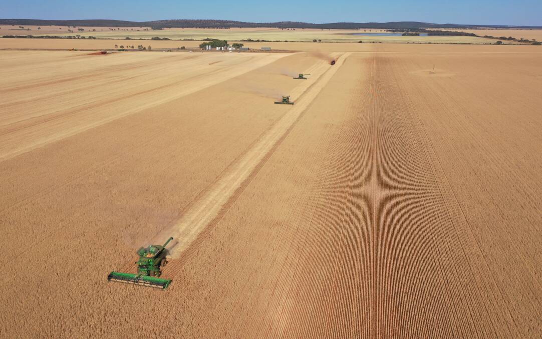 The Ballandry aggregation includes 16 individual dryland cropping properties across a mighty 26,839 hectares of the northern Riverina. Picture from CBRE