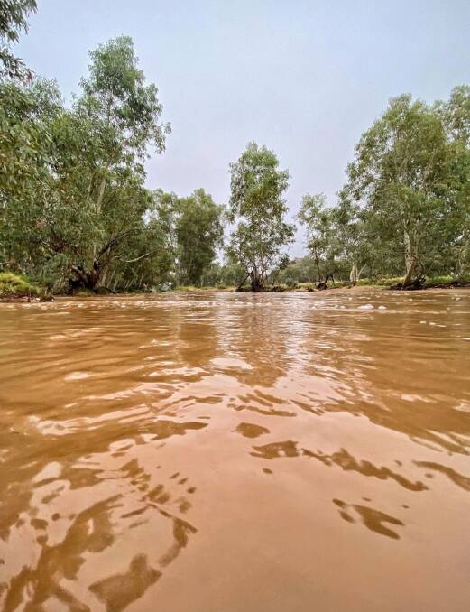 RARE SIGHT: The Todd River, home of the famous dry bed yacht regatta in Alice Springs, is flowing thanks to La Nina rain. Picture: Damien Ryan.