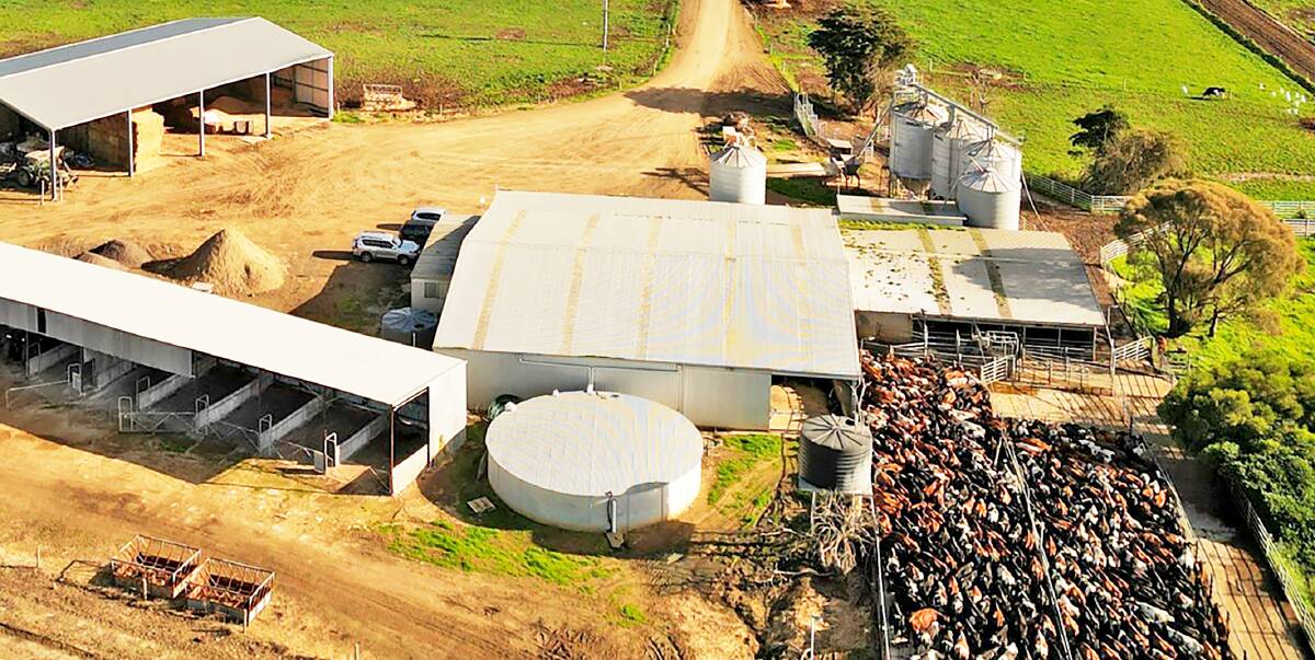 A modern dairy at Port Campbell has been milking a big herd despite its small acreage. Pictures from Elders Real Estate.