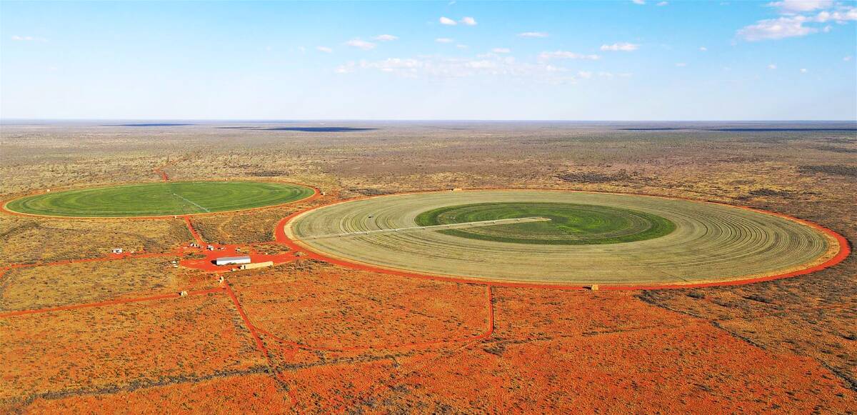 OUTBACK HAY: Queensland's Pickersgill family has added another Northern Territory cattle station to their rapidly growing portfolio. Pictures: Nutrien Harcourts.