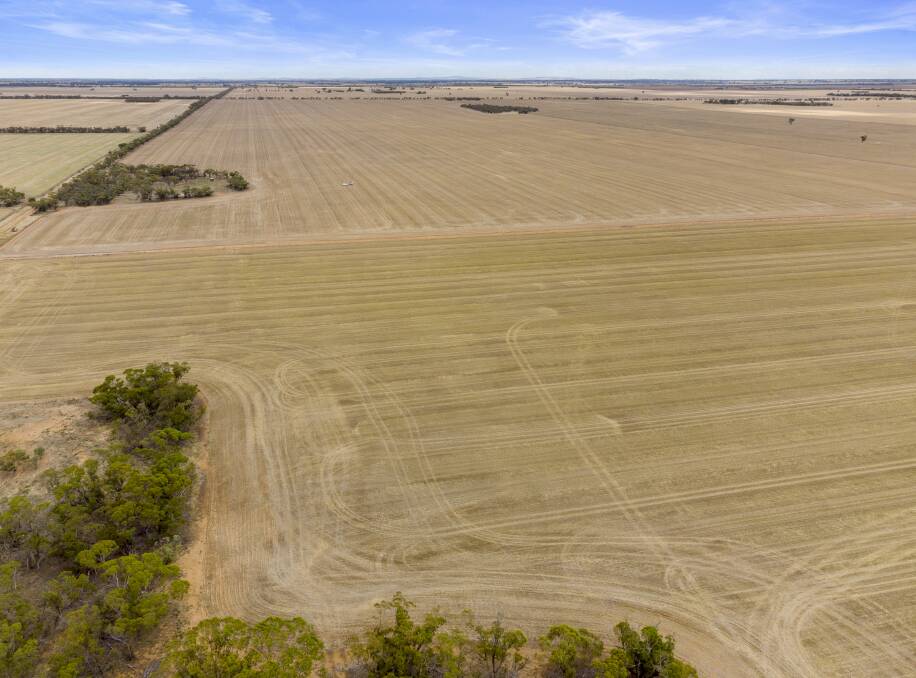 Strong demand for cropping country in the Mallee