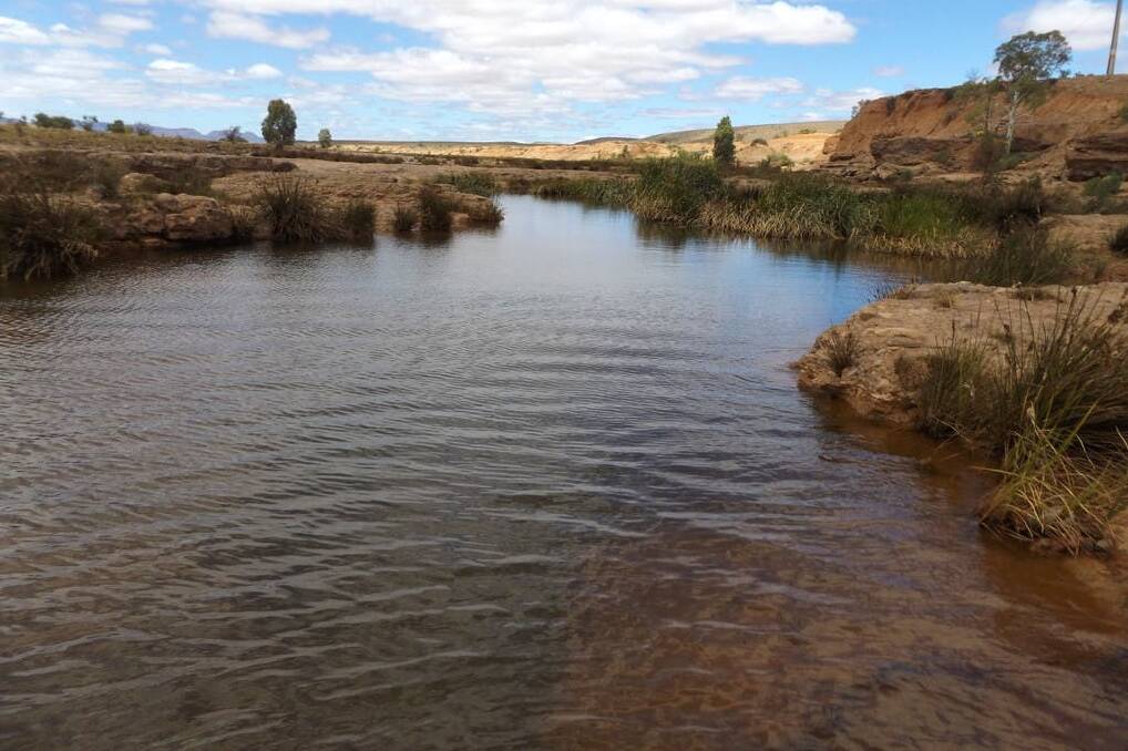 Permanent water is highly prized in the SA outback.