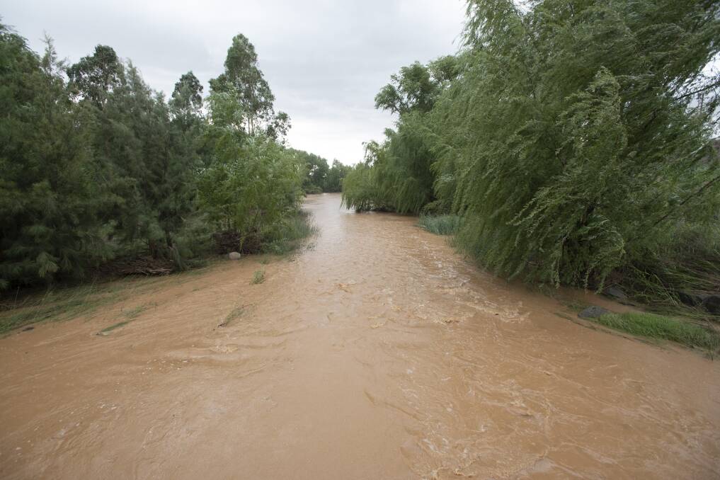 The Namoi River in flood. As seasonal rains ply the state's north, the question of whether coralling flood waters via floodplain harvesting is legal or not is set to be tested.