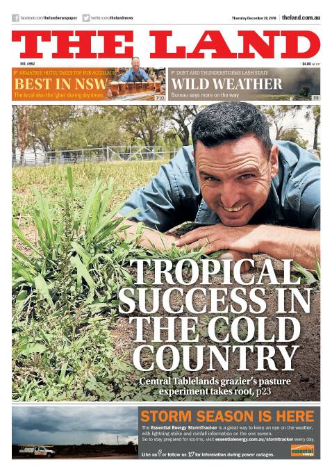 Stephen Leisk was pictured with grazed tropicals on our front cover on December 20. Broadleaf weeds were sprayed three days later.