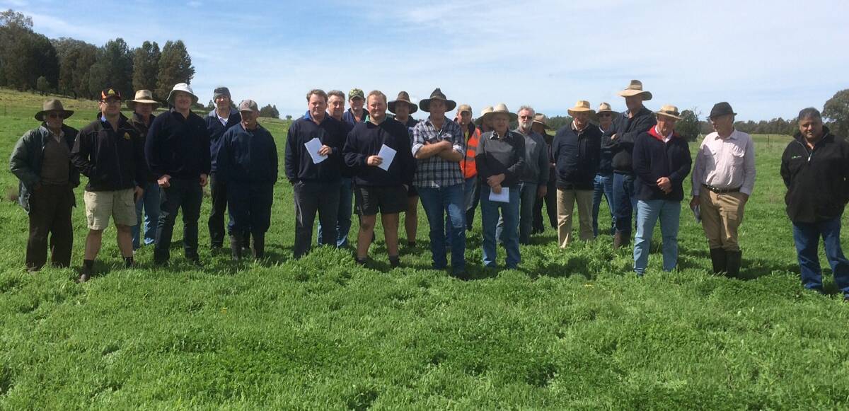 Farmers attending a recent Tooraweenah field day were urged to check nodule presence and health to ensure their legume pastures were actively fixing nitrogen - all too often they aren’t. 