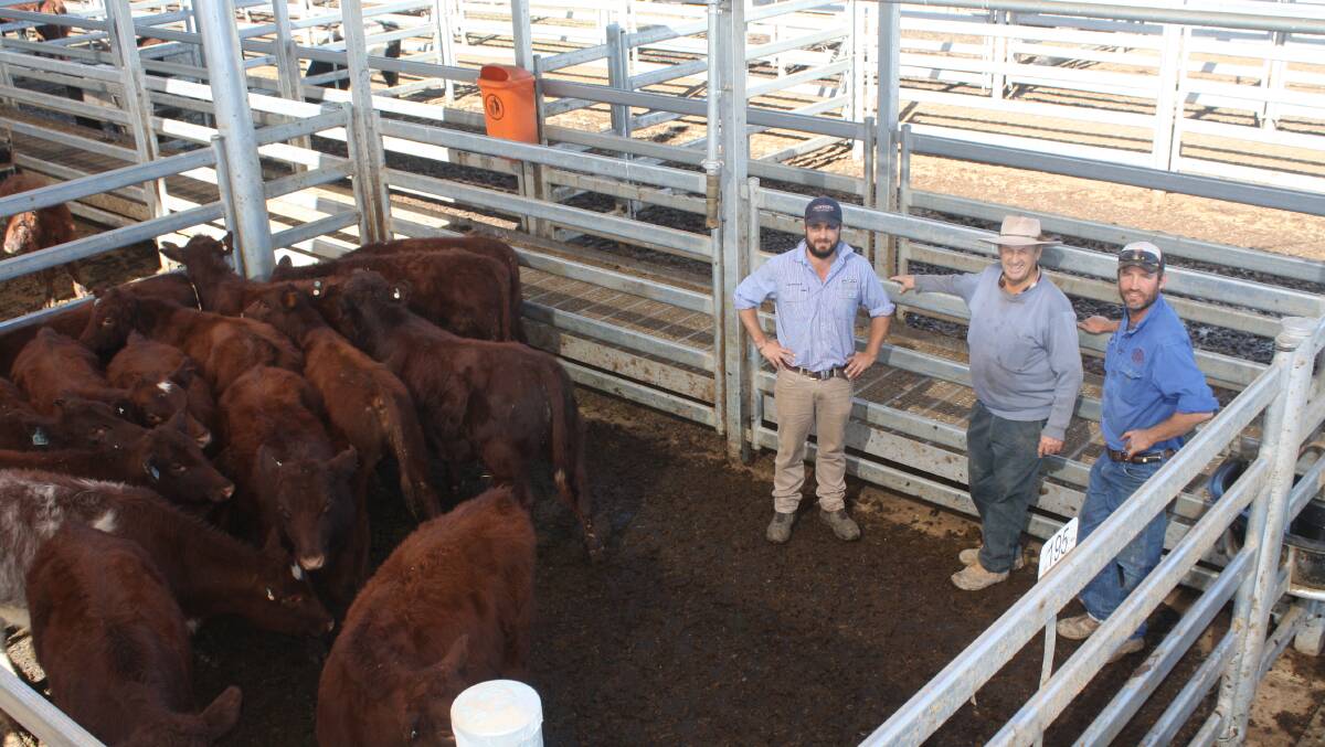 Milling Stuart agent, Andrew Charlton, Dunedoo with buyers Ronald Bowman and Jim Berry, both from "Meruthera", Dunedoo who bought Shorthorn steers for $495 a head.