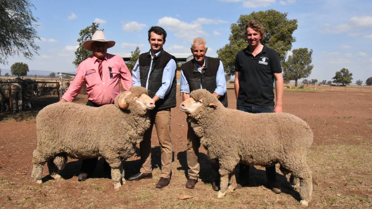 Elders wool agent Kevin Webber, Cameron Kopp, Warwick Kopp and Mitch Cook with the two top-priced rams that each fetched $5000 on Friday.