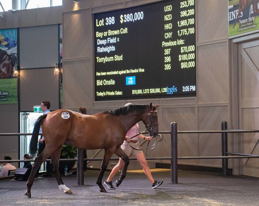 The Inglis Classic Yearling Sale top priced horse, at $380,000, for a Deep Field colt, which sold from Torryburn Stud, Torryburn, near Gresford. 