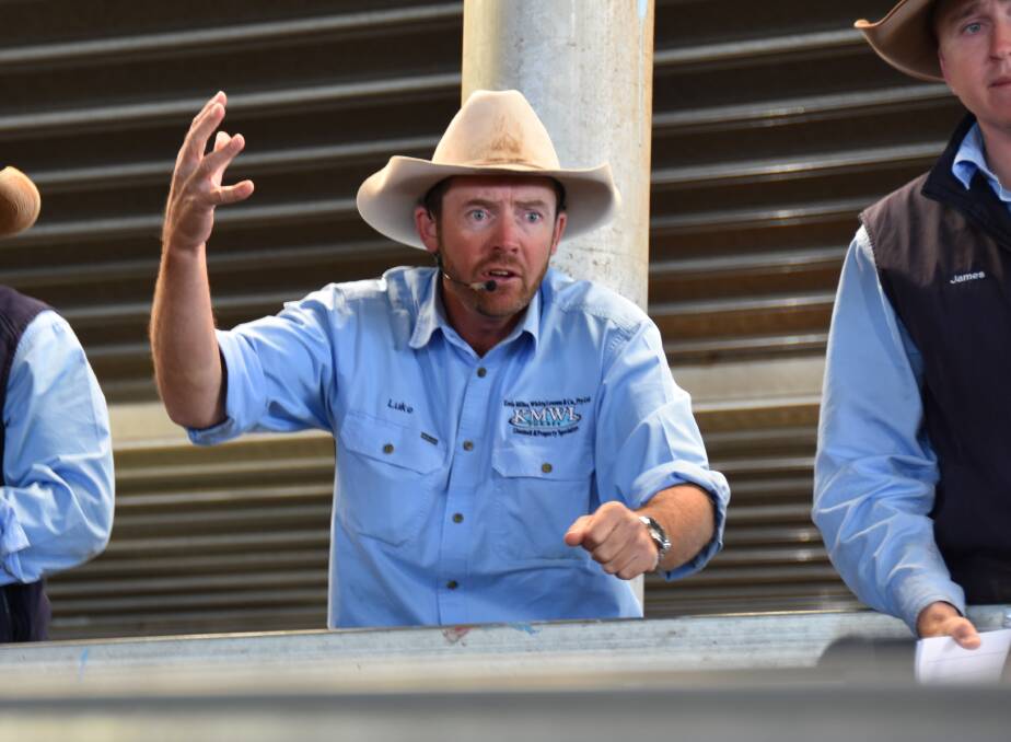 Luke Whitty, of Kevin Miller, Whitty, Lennon and Co takes bids at Carcoar on Friday. 