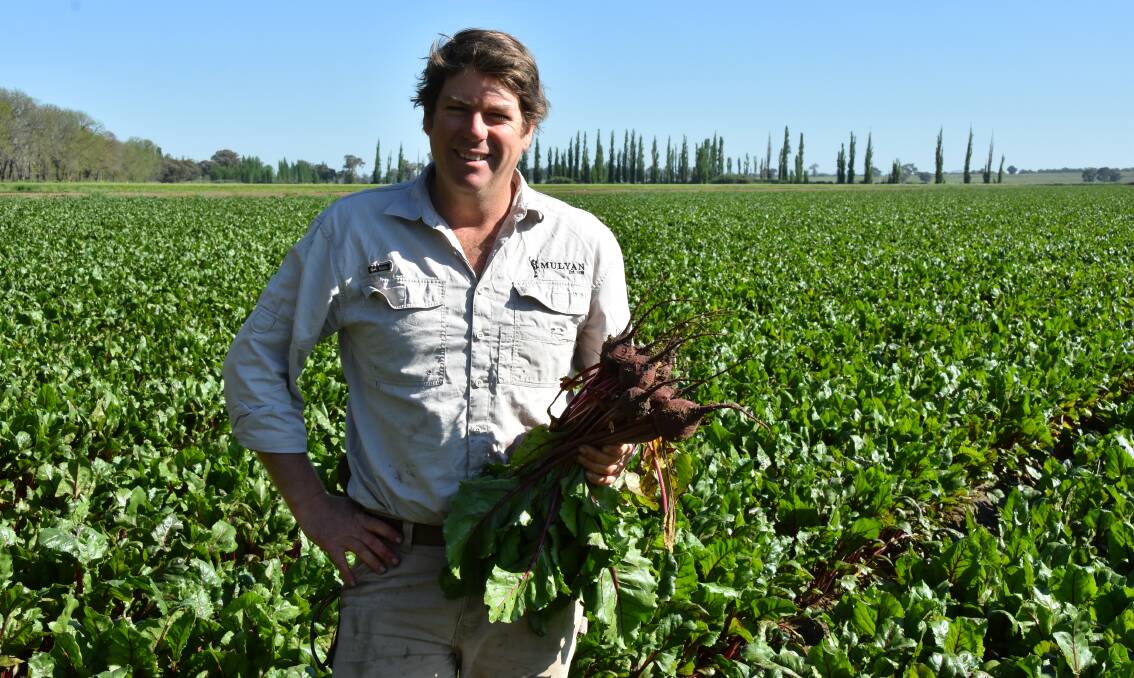Since winning NSW Farmer of the Year in 2015, Ed Fagan has had to chop and change his business model in response to a range of external challenges.