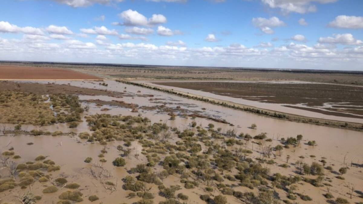 An aerial view of floodwater across plains near Dirranbandi, Q!d, taken by Frank Deshon, Nee-Nee, Dirranbandi.
