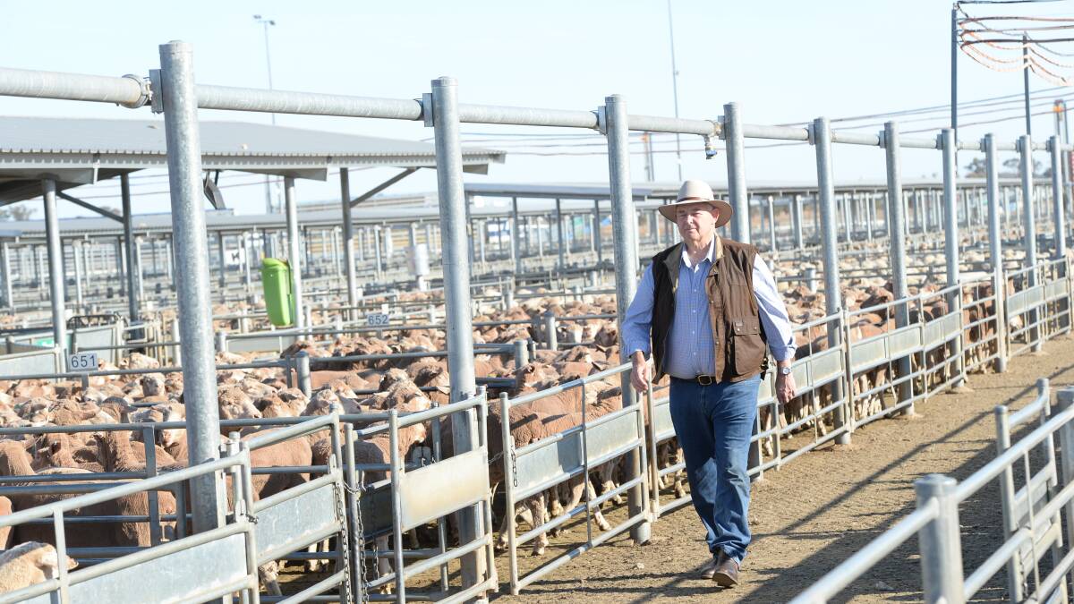 Steve Loane (pictured on our cover) walks through Forbes saleyards. The Roads and Maritime Service has declared Forbes Council must install weighbridges at its saleyards, but council says it verges on the nonsensical.