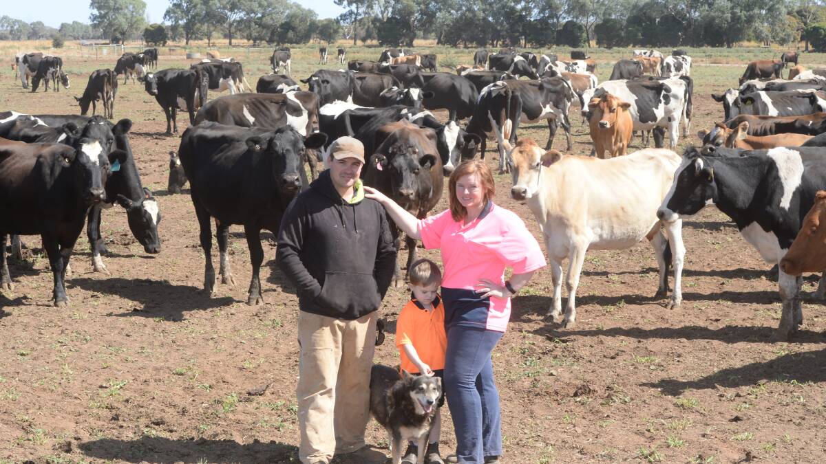 Aaron and Rikki-Lee Tyrrell, Tyrrells Family Dairy, Invergordon, Victoria, with their son, Emmett, 4, and "Clancy" the dog check a mixed herd of Jersey Friesian and Jersey cross cows. Photo by Rachael Webb.