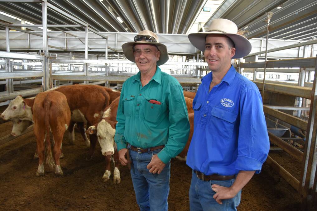 Peter Hagney, left, sold this pen of 268-kilogram Hereford heifers for $670 and a pen of 15 271kg Charolais heifers for $770. James Hagney, right, an agent for Clements McCarthy, Bathurst, negotiated the sale.