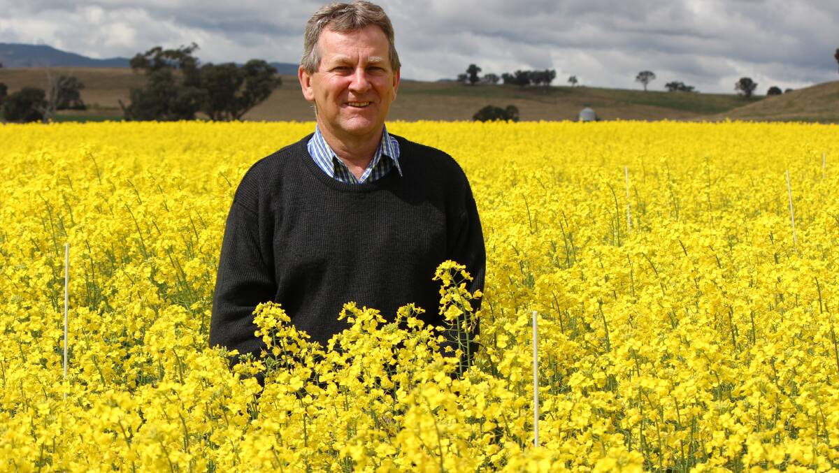 NSW DPI oilseeds technical specialist Don McCaffrey reckons canola growers will have the best crop since 2016. He recommends growers get in touch with their agronomist to determine whether any maintenance is needed to fulfill crop potential.