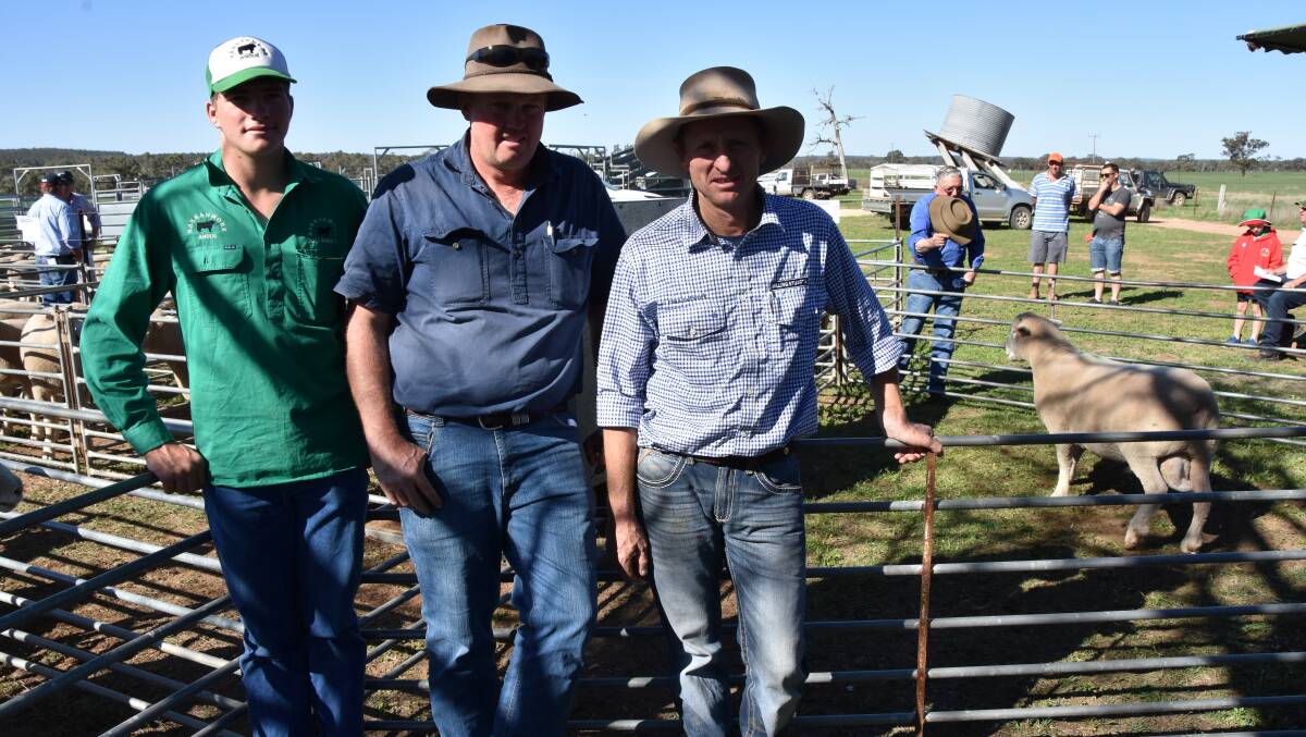 Toby O'Leary, Narranmore Poll Dorsets, Phillip Redding "Corumbene", Dunedoo, and Jamie Stuart, Milling Stuart, Dunedoo, with the top-priced ram at right, which fetched $3000 at Friday's Poll Dorset ram sale at Elong Elong.