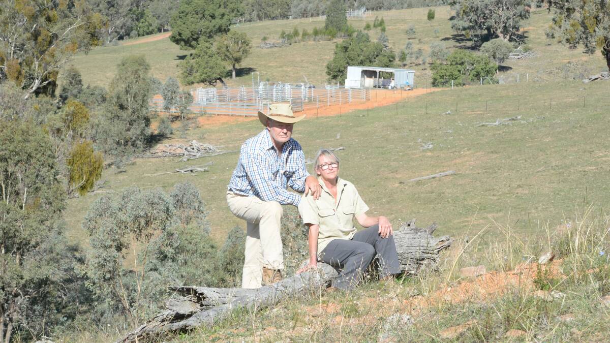 David Mann and Jennifer Player on "Crooked Hollow", near Mudgee. Mr Mann asks what's the point of bio-security laws with no teeth when it comes to landowners who don't care about weeds on their property? Photo Rachael Webb.