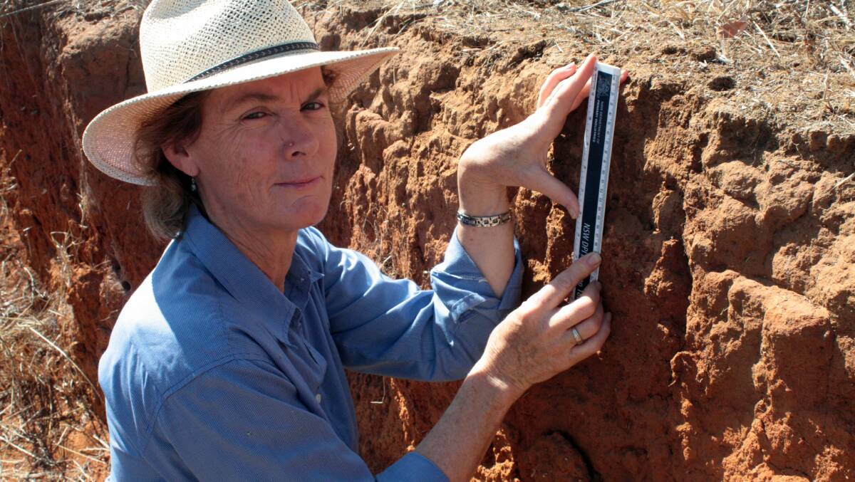 NSW DPI acid soils Project Officer Helen Burns stresses that lime needs to be thoroughly incorporated into the top 10cm soil layer to help prevent acid soil stratification. 