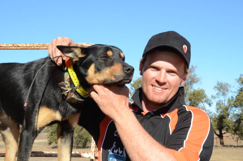 Wangambalang's Turbo with owner Daniel Pumpa is already clicking up the kilometres in the national Cobber Working Dog Challenge. Photo: Mark Griggs