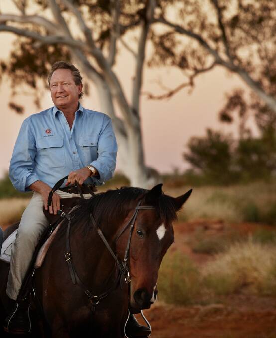 Depressed oil prices struck a blow to Woodhouse Petroleum (pictured above is chairman Andrew Forrest), which shed 8.5 per cent week on week. 