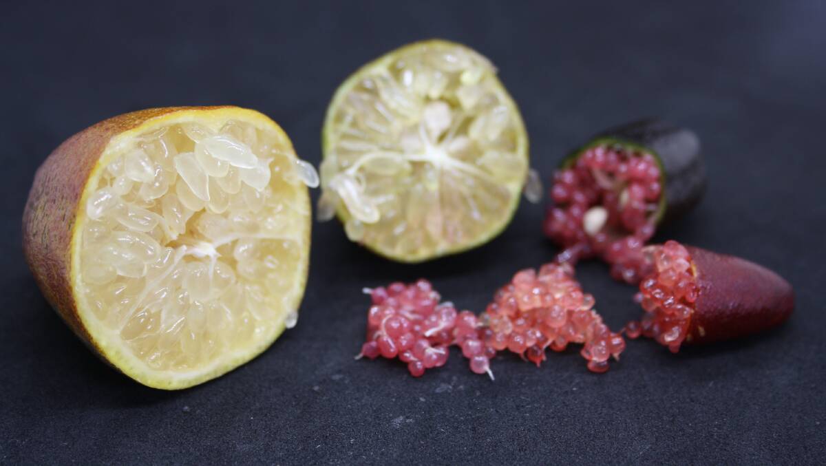 A finger lime hybrid next to a native form of the fruit (on the right).