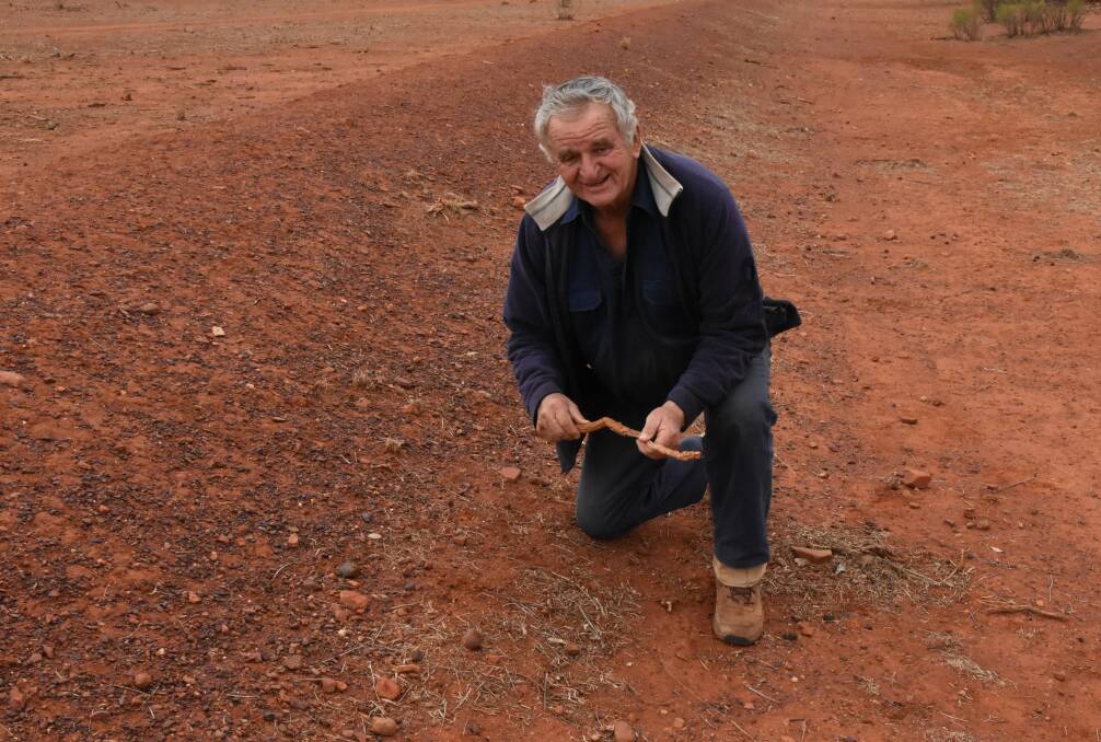 Peter Yench believes there are still opportunities to be had in the Western Division and says income from carbon farming has real potential to get the land working to its full potential.Photo by DAN PEDERSEN.