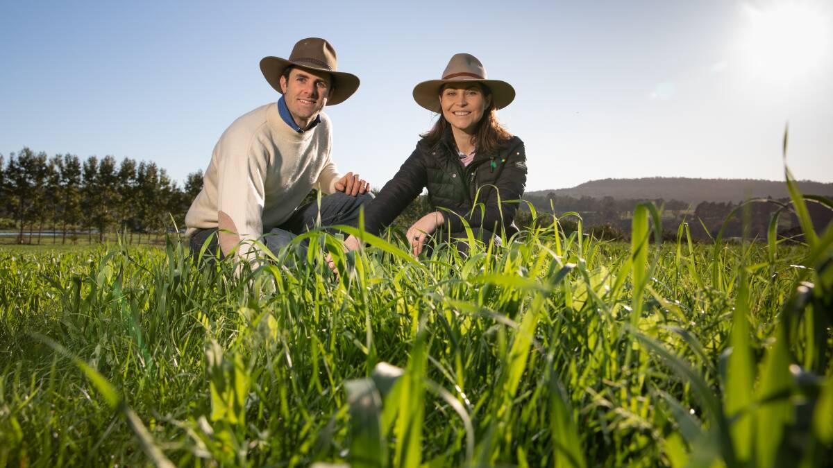 Sam and Stephanie Trethewey on their property near Deloraine, in Tasmania's central north. The bid to prescriptively brand regenerative agriculture is tough.