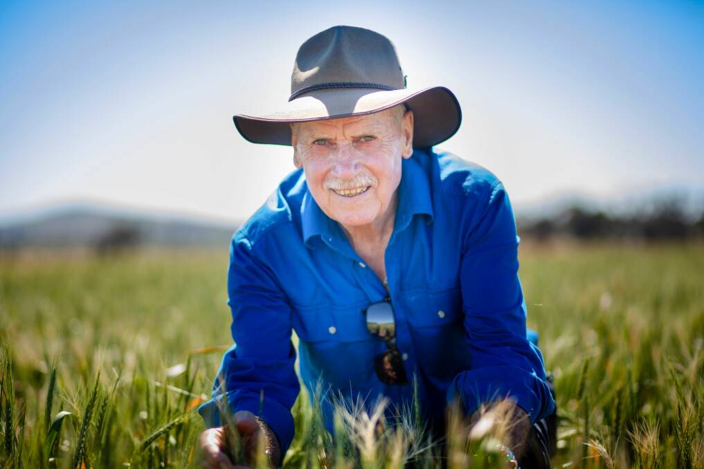 Professor Timothy Reeves, University of Melbourne, a leading Australian researcher, stresses that despite present cropping systems, although successful, they have not really increased soil carbon and organic matter. 
