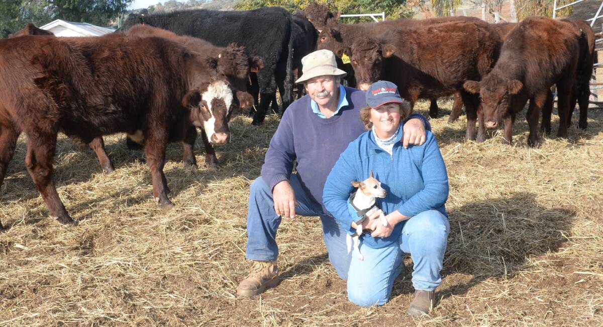 Peter and Jann Dixon Hughes left their dairy days behind almost 20 years ago to pursue a paddock to plate operation. Photos: Rachael Webb