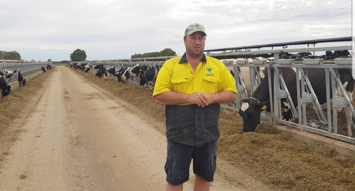 Dairy farmer Lachlan Marshall has received his five per cent allocation and reckons it will buy him three weeks' grace, after which it's back to the open market. 