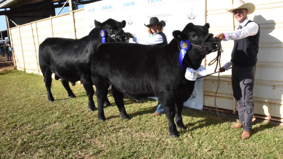 Cooper Taylor, 16, and Nathan Leach with the winning pair of bulls.