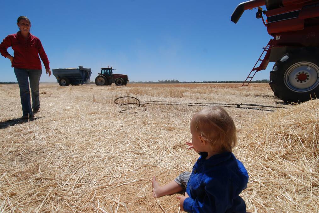 A recent survey suggests Australians want family farms with an emphasis on producing food for consumption in Australia over strong gross domestic product figures thanks to agricultural exports.