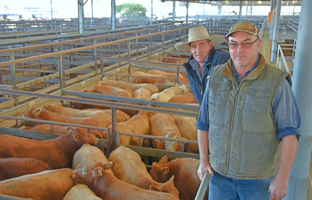 Andrew Woodrow, Wagoo, St George with his livestock agent Anthony Hyland, GDL at Dalby's cattle sale where they sold 208 head of bullocks during the sale.