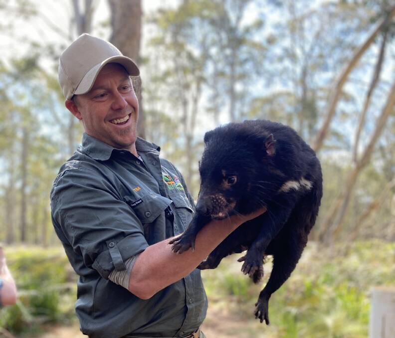 How humans are hurting Tasmanian devils - AusBiz