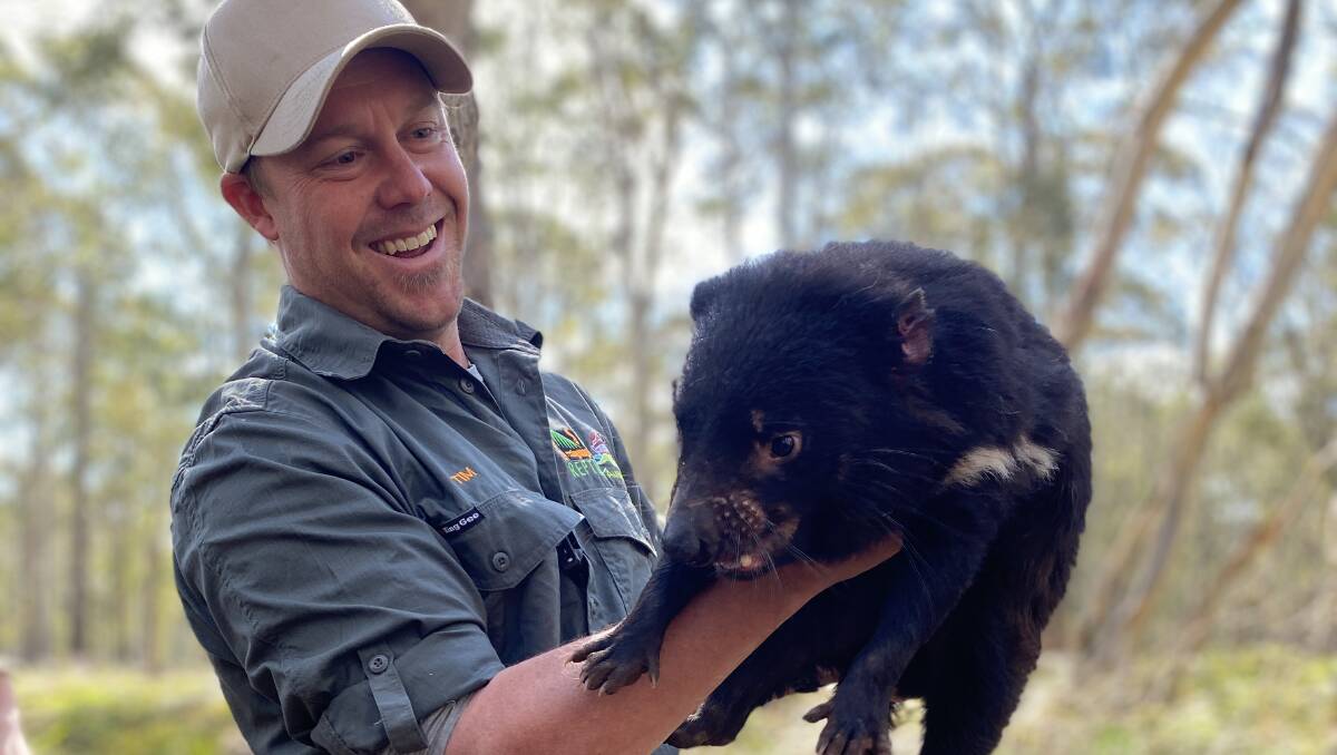 Seven Tasmanian devil joeys have been born in the wild at Aussie Ark wildlife sanctuary in Barrington Tops - the first such births on the Australian m