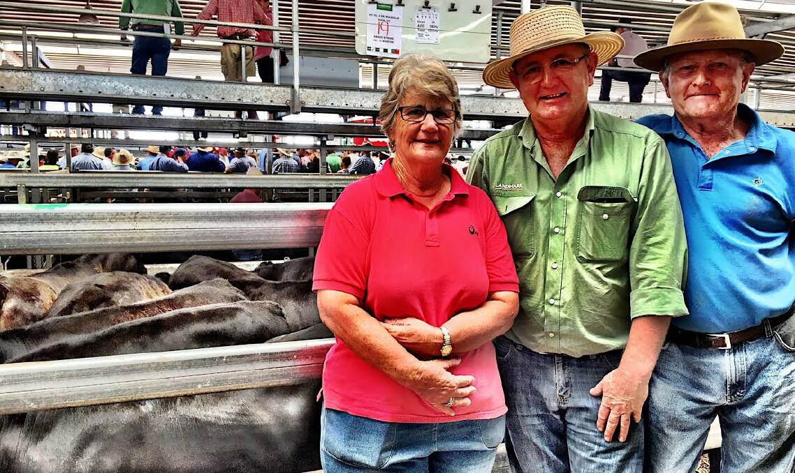 Dawn Macaulay, Landmark agent Pat Kindellan, and Graeme Macaulay with one of their pens of steers at the first day of the NVLX January sales. The Macaulays sold 105 head and were delighted with the prices.