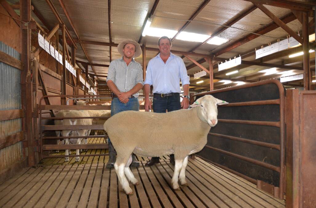 Buyer Peter Young and vendor Rob Mulligan with one of the 31 rams Mr Young purchased.