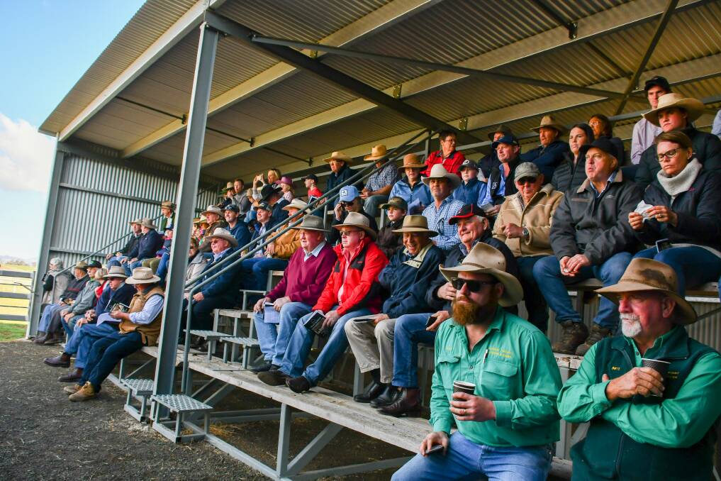 Big crowds are expected to pack the sale barns during the northern NSW selling season.