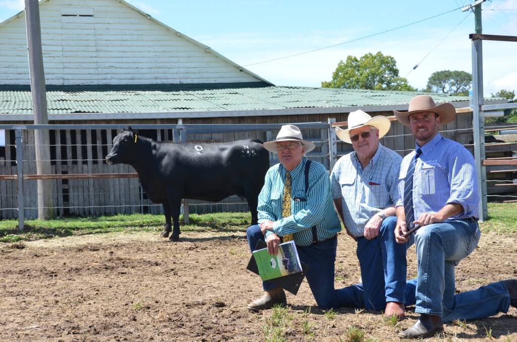 The sale was underpinned by Elite Livestock Auctions represented by John Shaw (middle) with Greg Chappell of Dulverton and Shad Bailey of Colin Say and Co with Dulverton Pixie N245. 