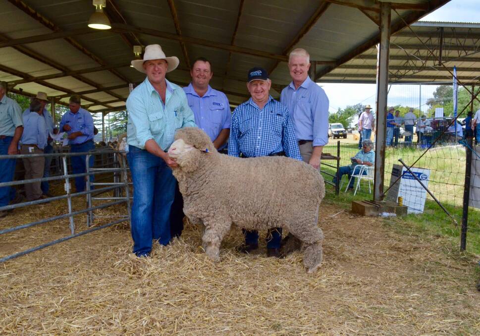 Murray Power, Airlie Merinos, Walcha, Todd Clarke, Schute Bell Badgery Lumby, Bruce McConnaughty, Baradine, and John Croake, AWN, with the $6100 ram.