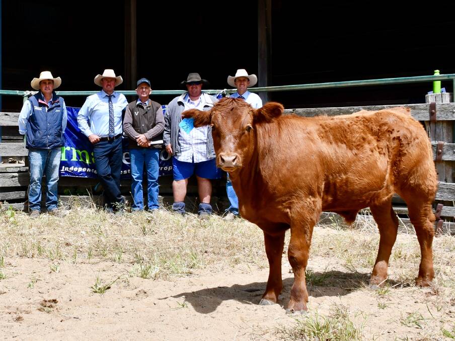 The top price steer with Nathan Purvis, Shad Bailey, Chris Law, Travis Luscombe and Steve Daley.