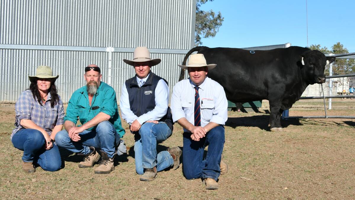 Tracy and Kevin Owen, Tomasi Grazing Western Australia with Sinclair Munro, Booroomooka and Luke Scicluna, Davidson and Cameron, Gunnedah and the $25,000 bull.