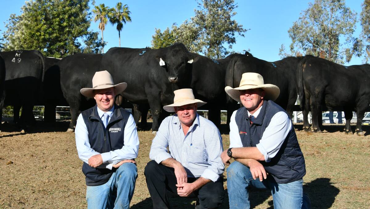 Sinclair Munro, Booroomooka Angus, Bingara with volume buyer, Peter Galvin AAA Pastoral Co, Victoria and agent, Dave Henry, Davidson and Cameron, Gunnedah. 