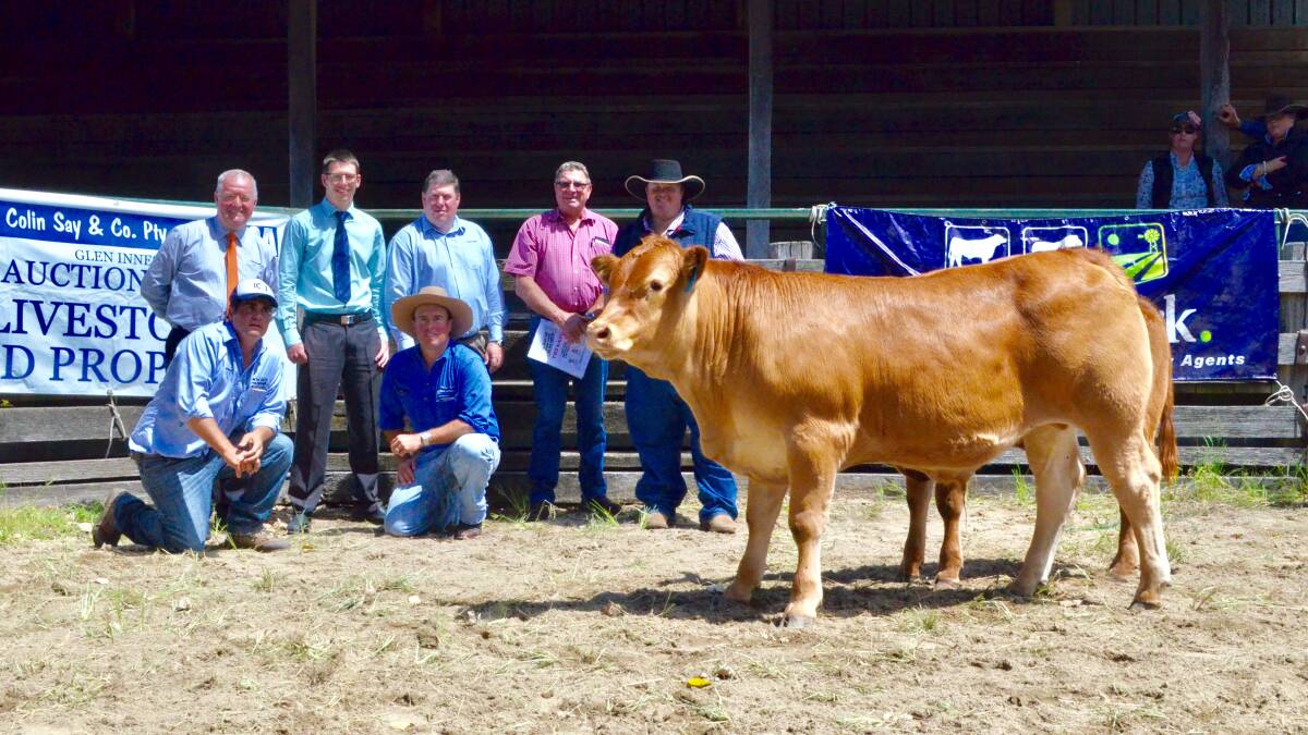 Grand Champion steer and $11/kg sale topper with Crowe Horwath Associates Max Elphick, Jason Duffell and Troy White; vendor, Col McGilchrist, Wallabadah; judge and buyer, Travis Luscombe, Toowoomba and Nathan Purvis and Shad Bailey, Colin Say and Co.