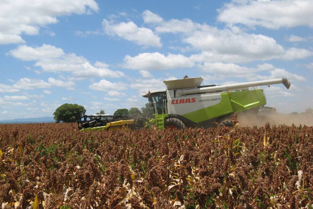 Much of the focus in the domestic grains market has been on sorghum that is starting to come in from central Queensland to the Liverpool Plains.