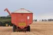 Wheat price run continues in spite of corn dropping