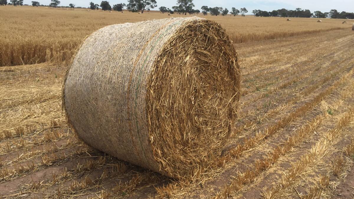 Oaten hay exports to Asia soared in 2017.
