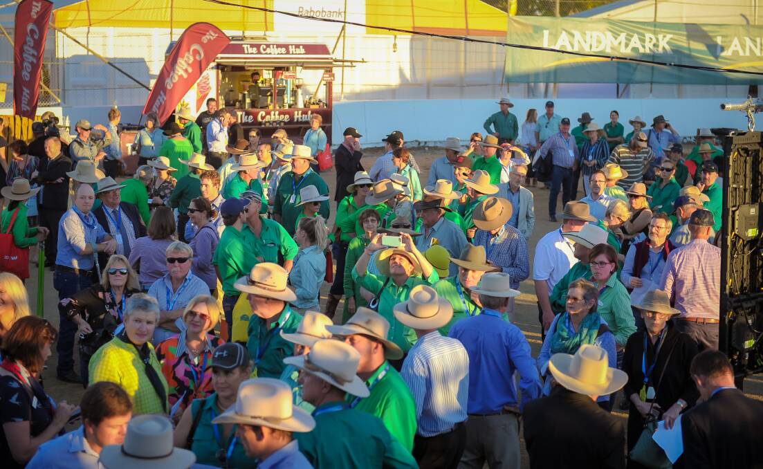 The grains industry is hopeful of attracting massive crowds like the beef sector's flagship Beef event in Rockhampton.