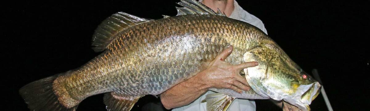 Barramundi is one of Australia's most widely bought fish.